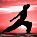 Integrating Acupuncture and Exercise Therapy in Physiotherapy: A Powerful Combination